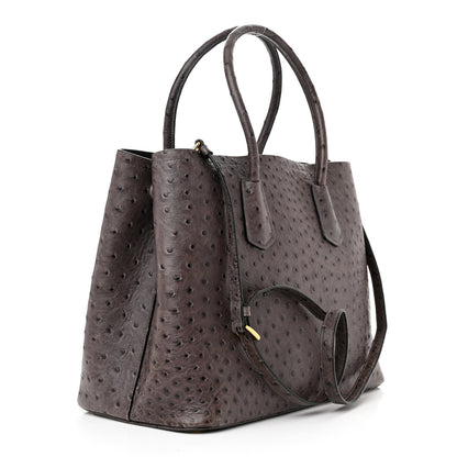 Prada Ostrich Double Bag Grey 3 of 16