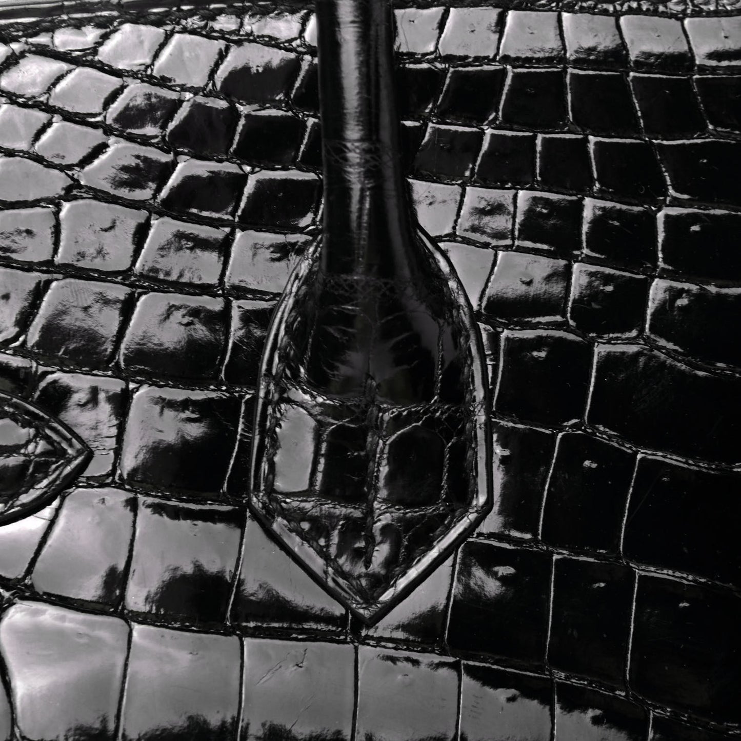 Shiny Niloticus Crocodile Birkin 30 Black