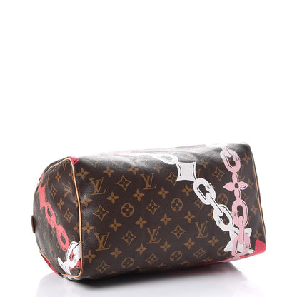 Louis Vuitton Monogram Bay Speedy 30 Rose Ballerine Poppy 4 of 7