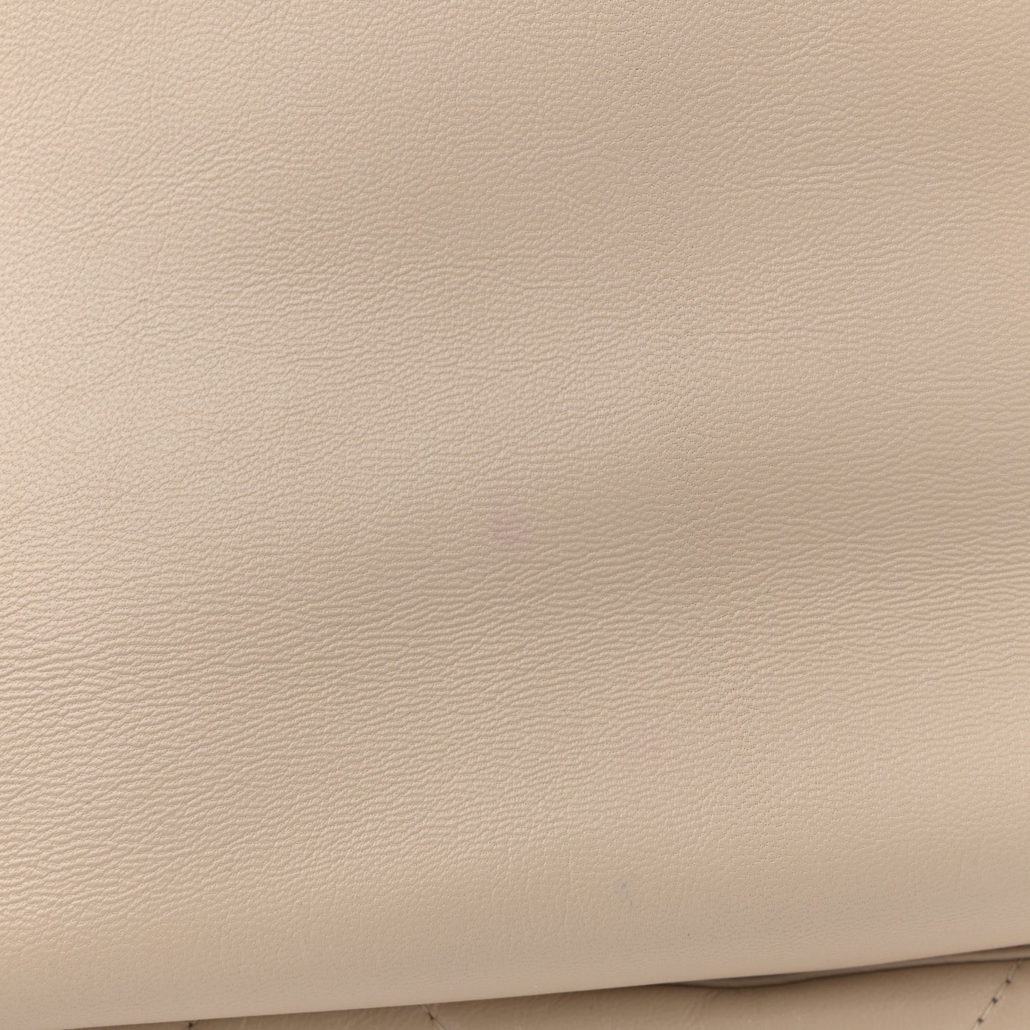 Goatskin Quilted Maxi Chanel 19 Flap Beige