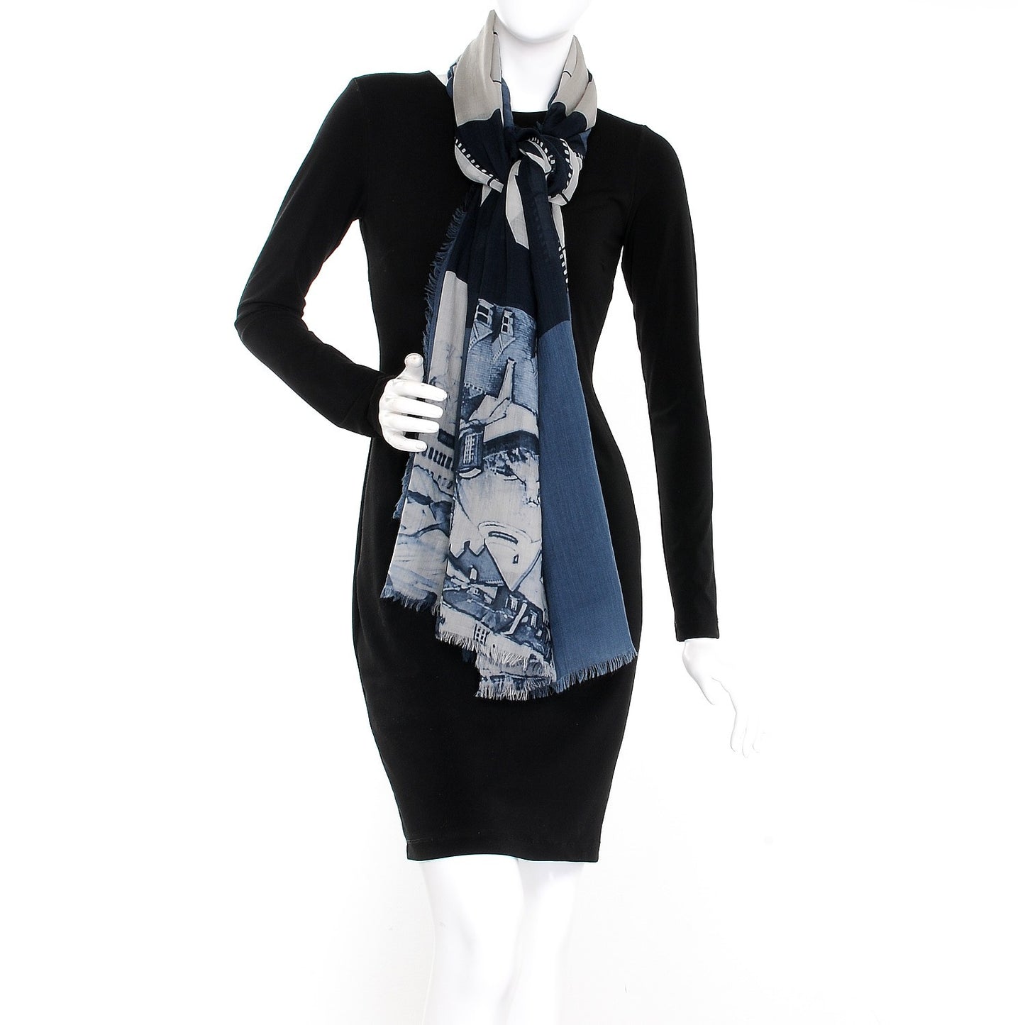 Cashmere CC Cinema Scarf Blue White