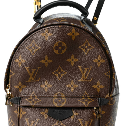 Louis Vuitton Monogram Palm Springs Backpack Mini 7 of 9