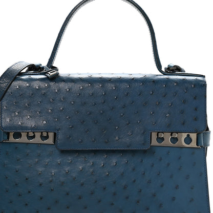 Delvaux Ostrich GM Tempete Satchel Bleu De Presse 7 of 9
