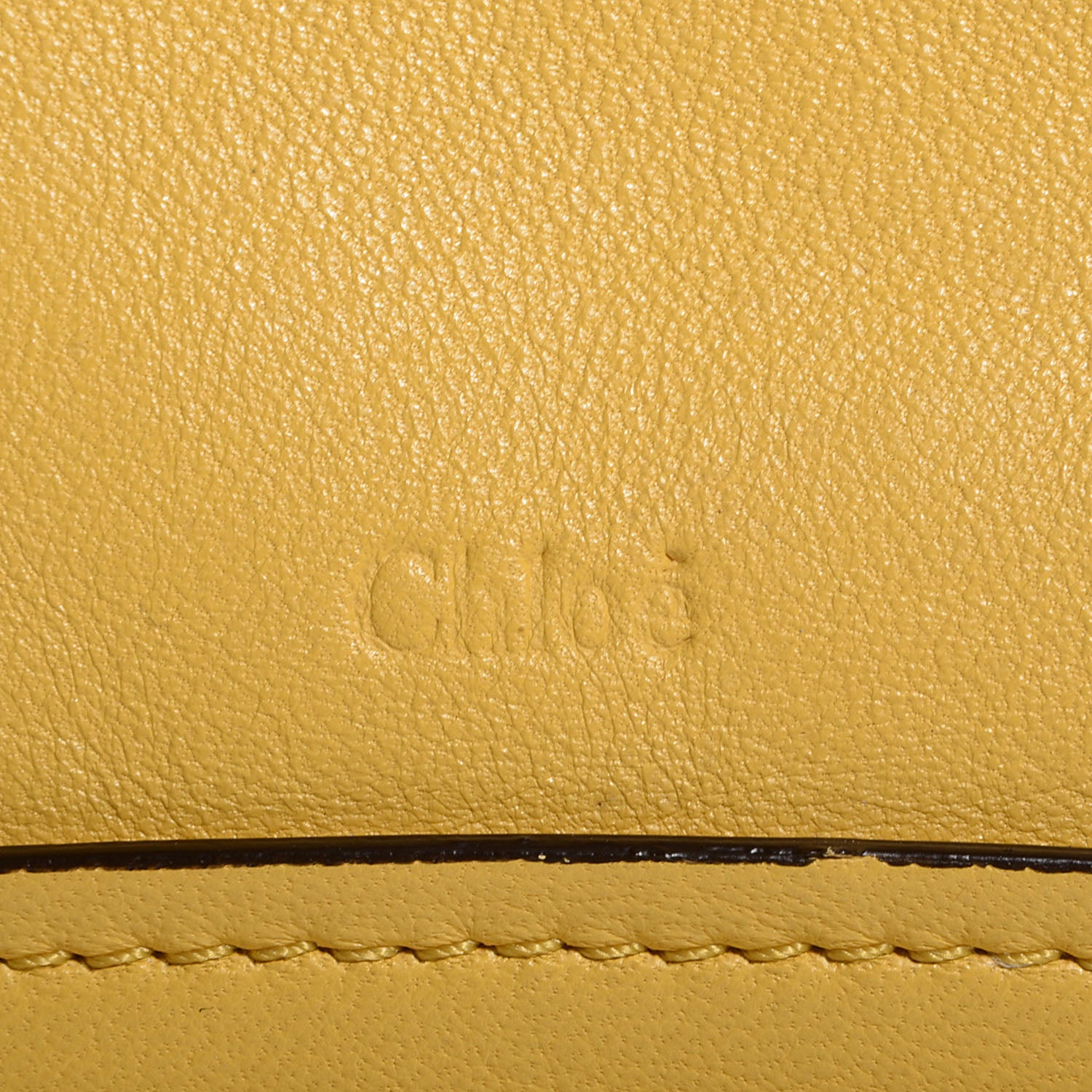 Chloe Calfskin Medium Military Paraty Citrus Grove 9 of 10