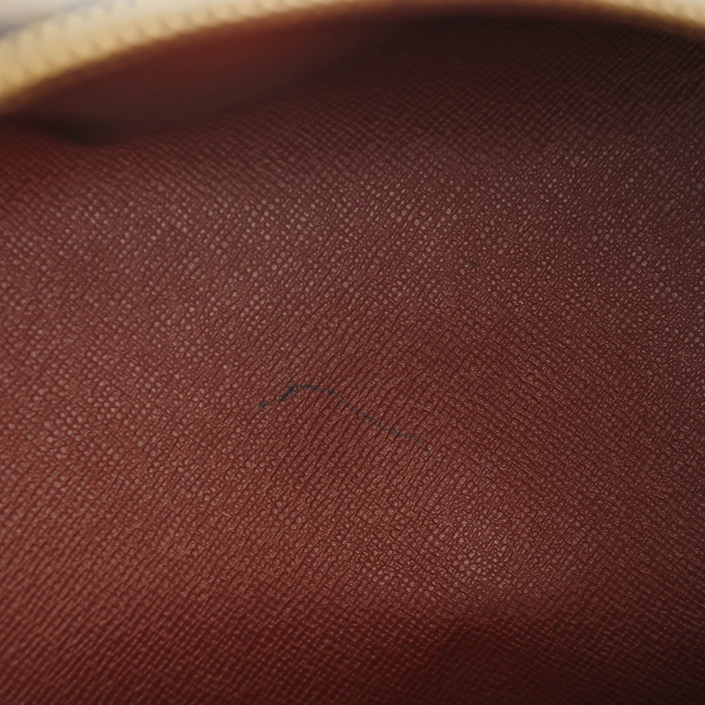 Monogram Papillon 30 With Companion