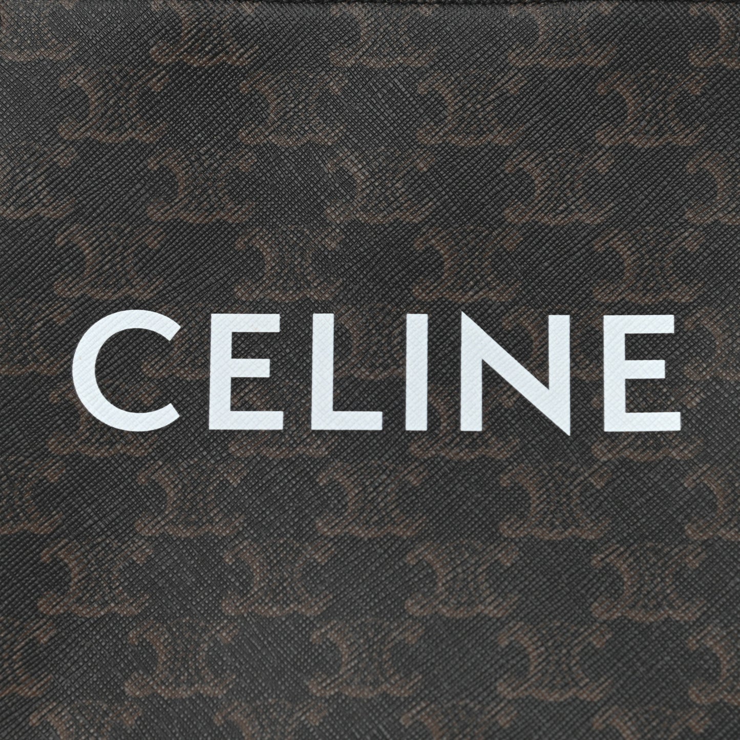 Triomphe Canvas Calfskin Mini Vertical Cabas Tan