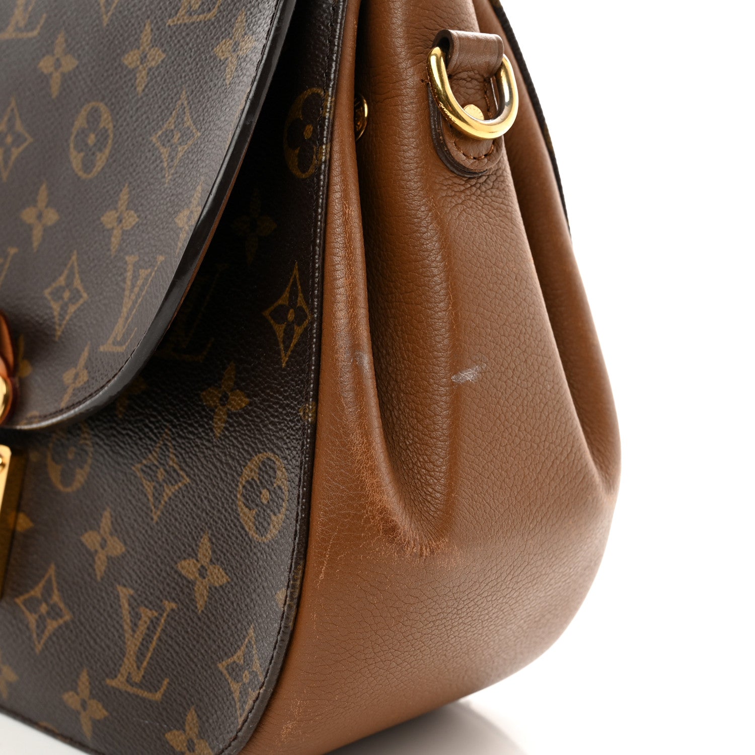 Louis Vuitton Monogram Eden MM Camel 12 of 12