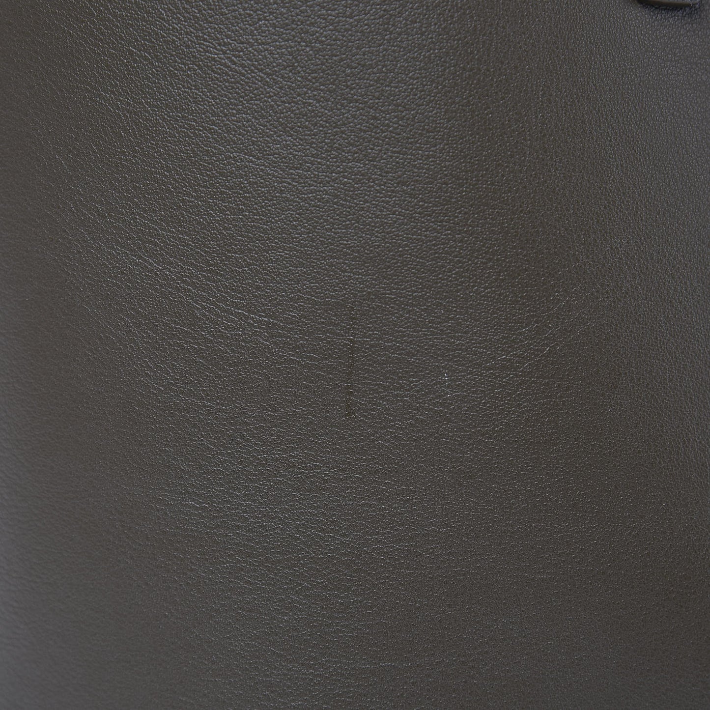 Calfskin Large Shopping Tote Earth