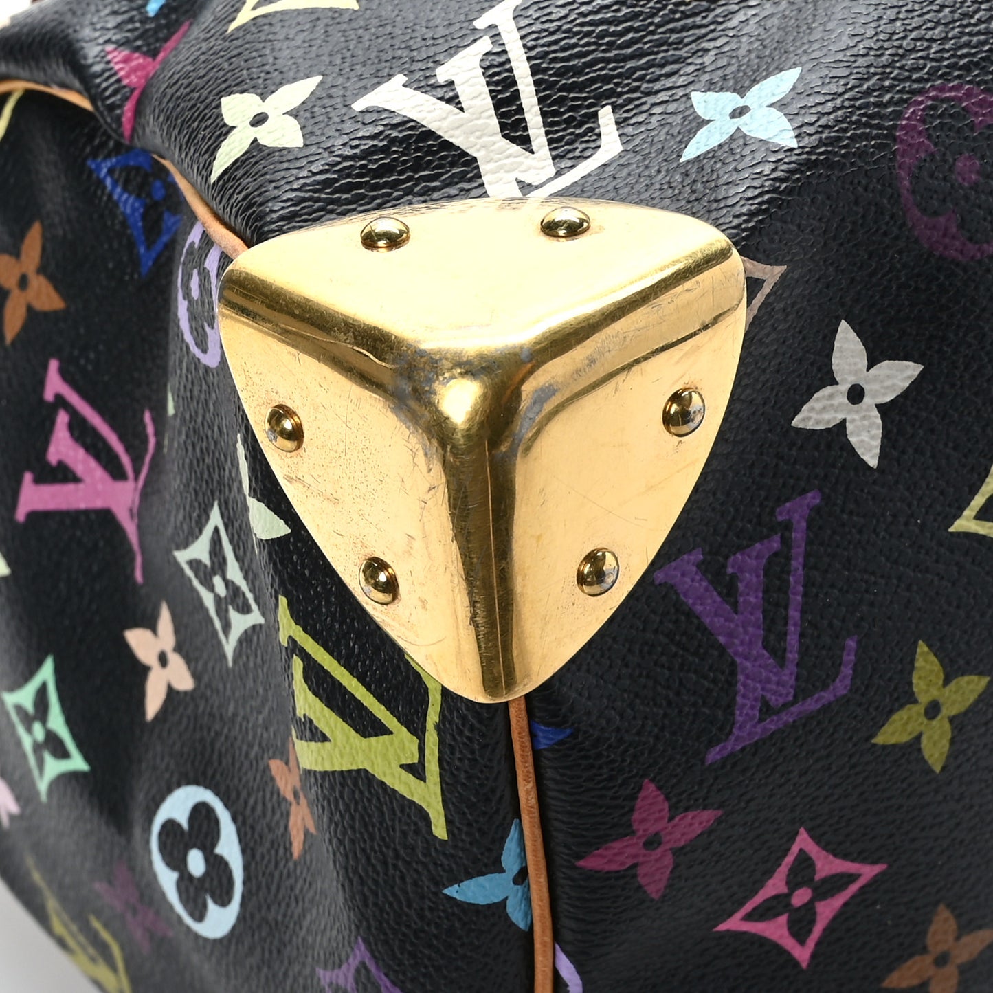 Monogram Multicolor Speedy 30 Black