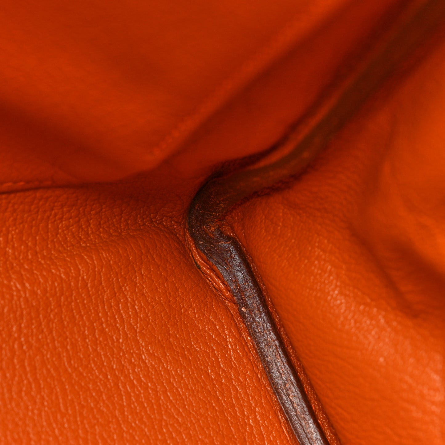 Taurillon Clemence Kelly Retourne 35 Orange