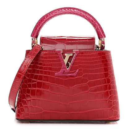 Louis Vuitton Crocodile Mini Capucines Rubis 1 of 9