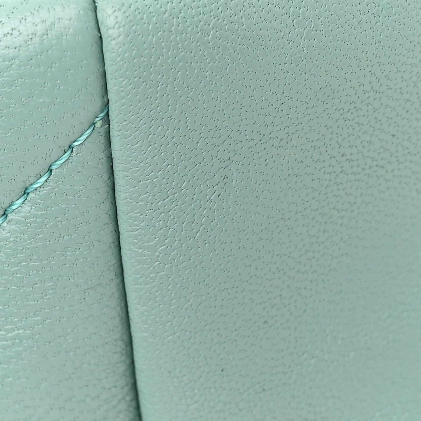 Lambskin Quilted Medium Chanel 19 Flap Light Green