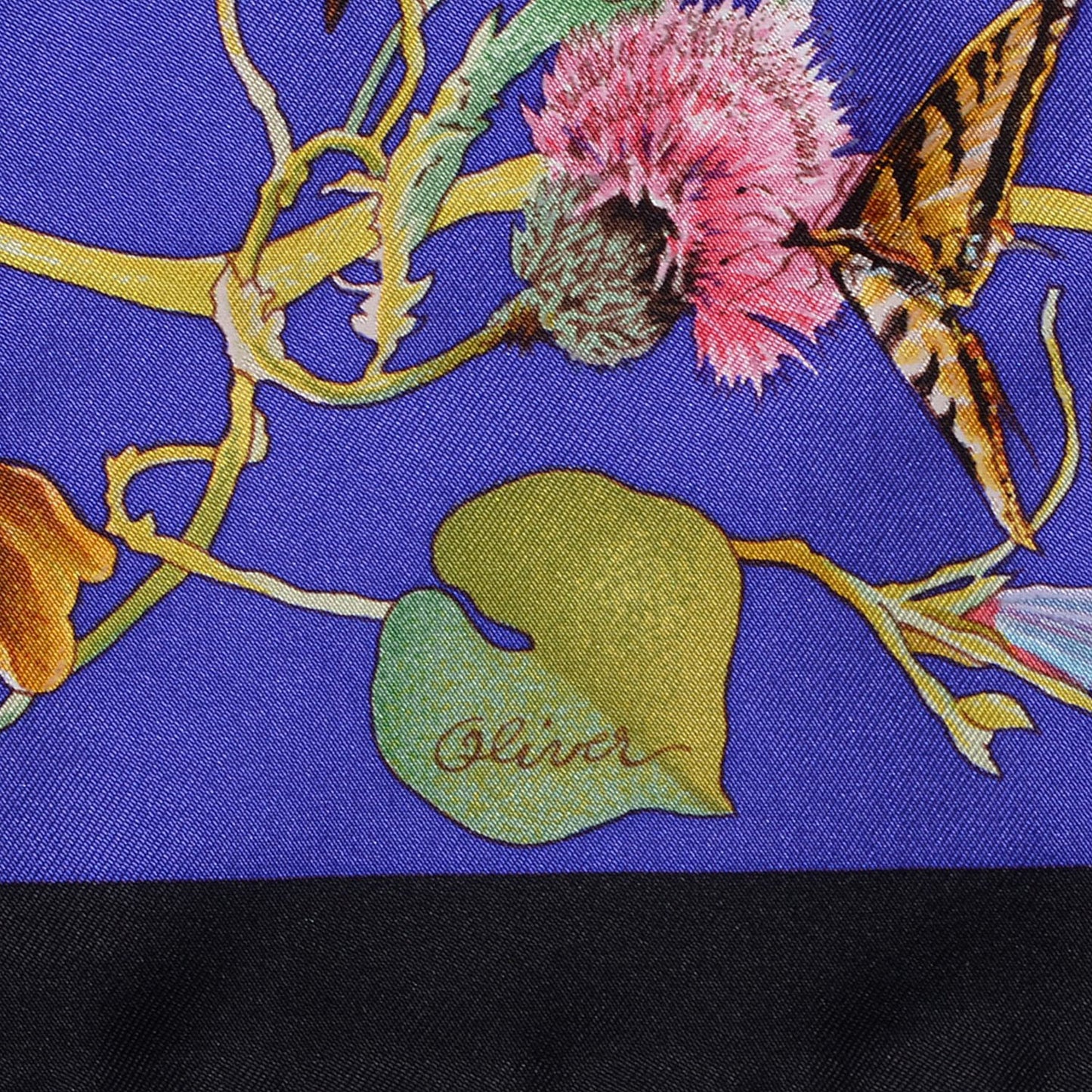 Silk Faune Et Flore Du Texas Scarf 90