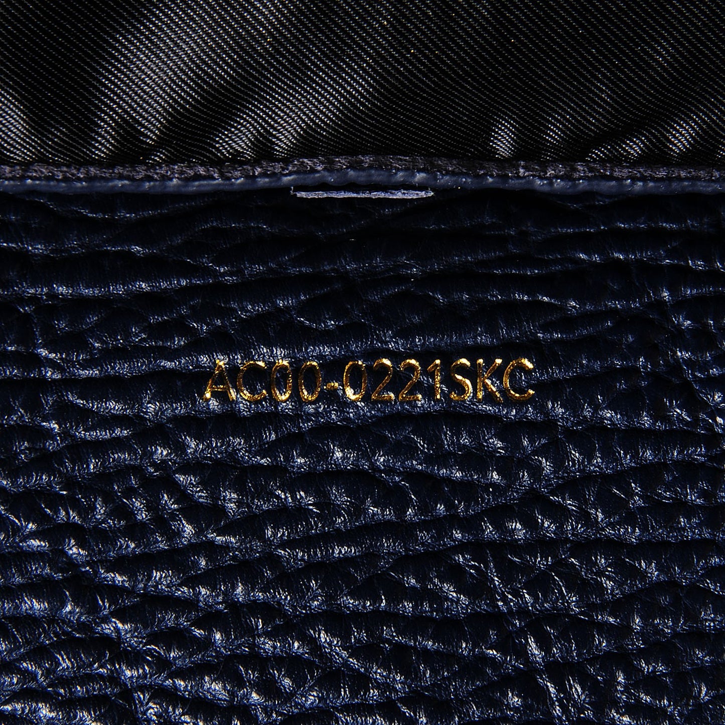 3.1 Textured Calfskin Large Pashli Satchel Ink