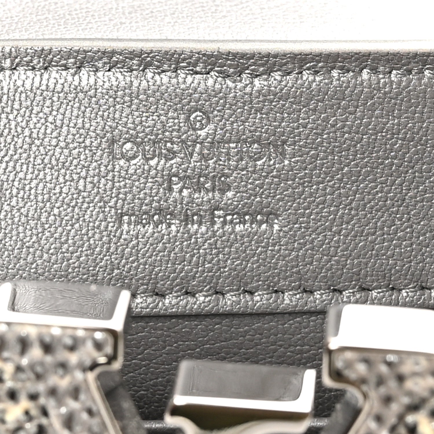 Louis Vuitton Lizard Mini Capucines Argento 1717161 – FASHIONPHILE
