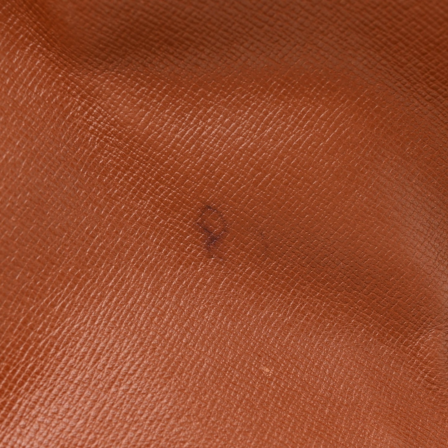Monogram Cartouchiere 26
