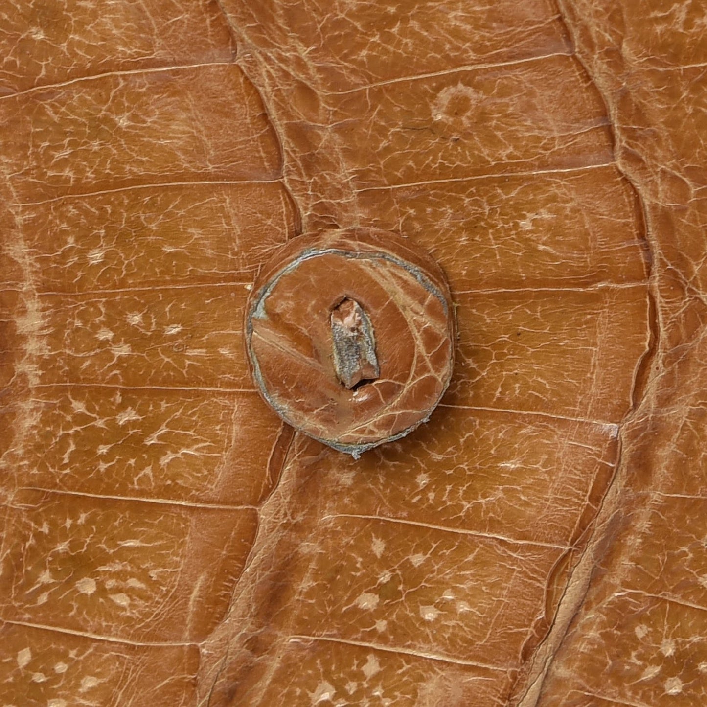 Crocodile Tote Tan