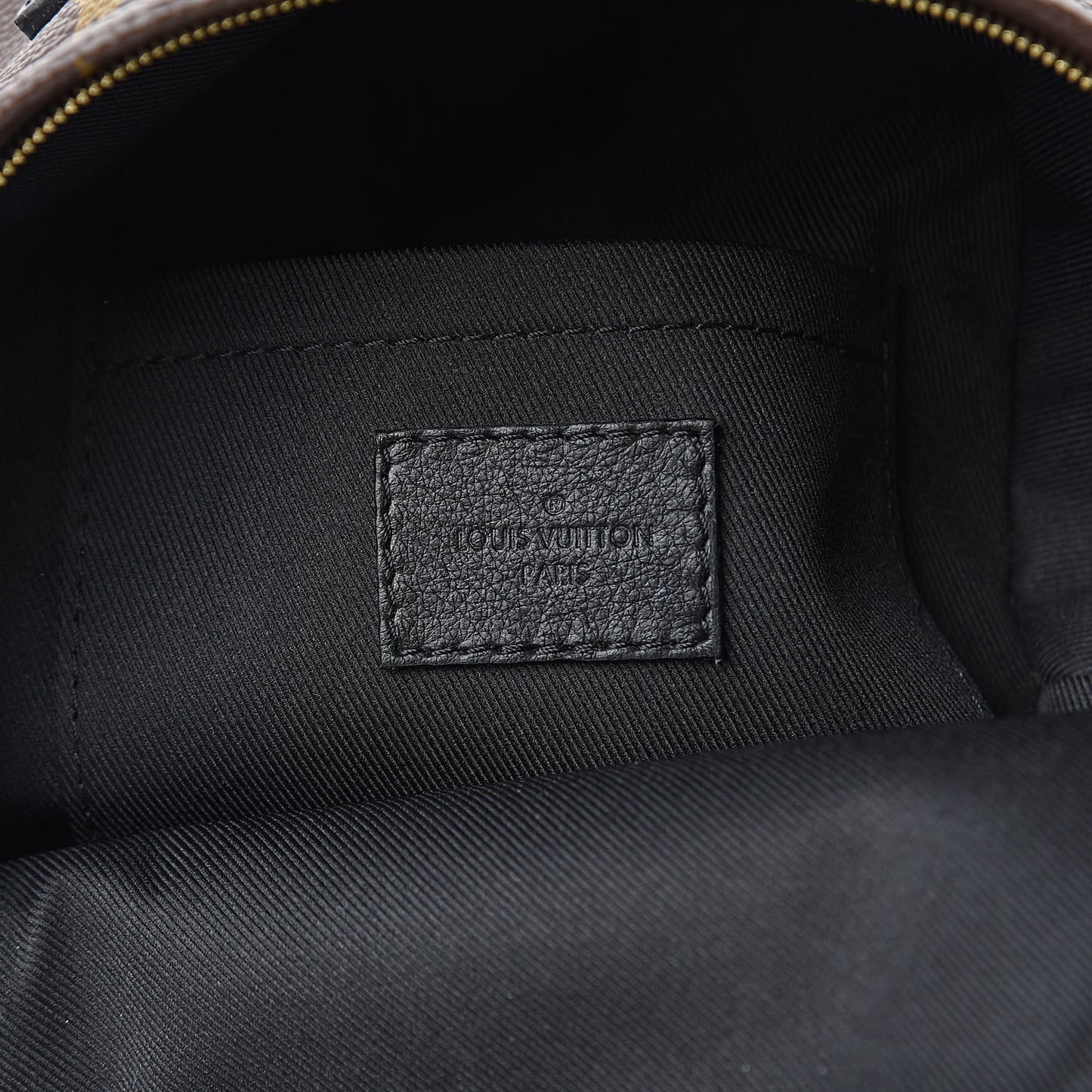 Monogram Palm Springs Backpack Mini