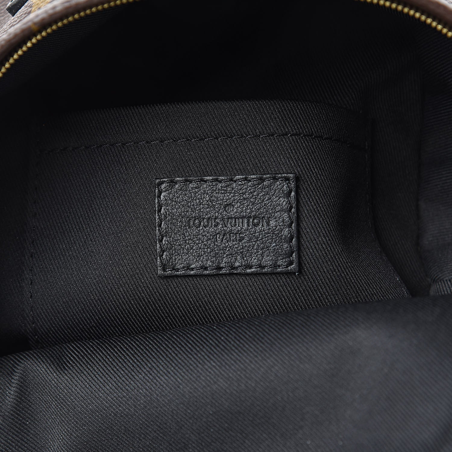 Louis Vuitton Monogram Palm Springs Backpack Mini 6 of 10