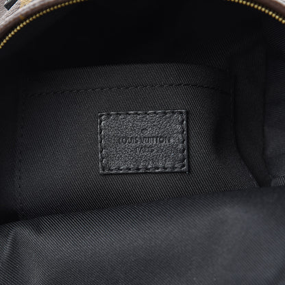 Louis Vuitton Monogram Palm Springs Backpack Mini 6 of 10
