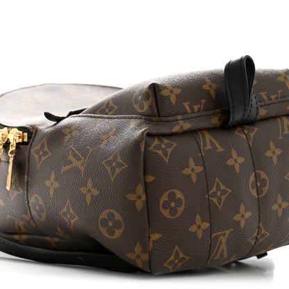 Louis Vuitton Monogram Palm Springs Backpack PM 10 of 13