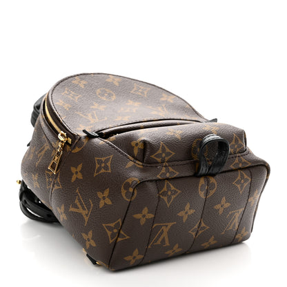 Louis Vuitton Monogram Palm Springs Backpack Mini 4 of 9