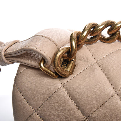 Chanel Shiny Sheepskin Quilted Small Trapezio Flap Beige 11 of 13