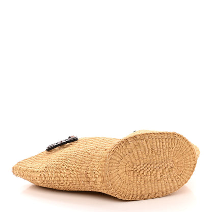Loewe Raffia Calfskin Shell Basket Tote Natural Beige 4 of 10