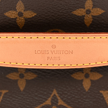 Louis Vuitton Monogram Nice Mini 7 of 11