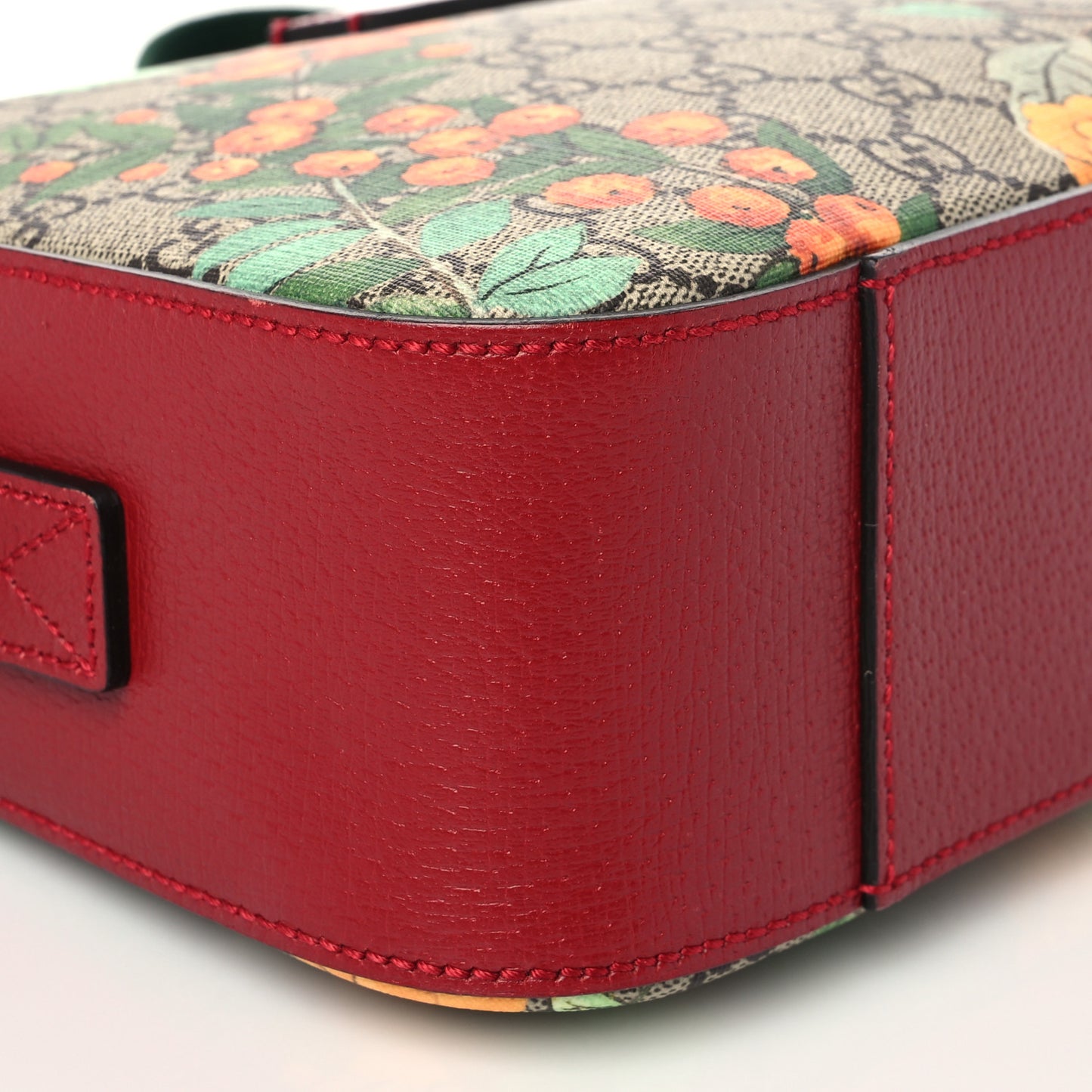 GG Supreme Monogram Tian Web Camera Bag Beige Multicolor Red