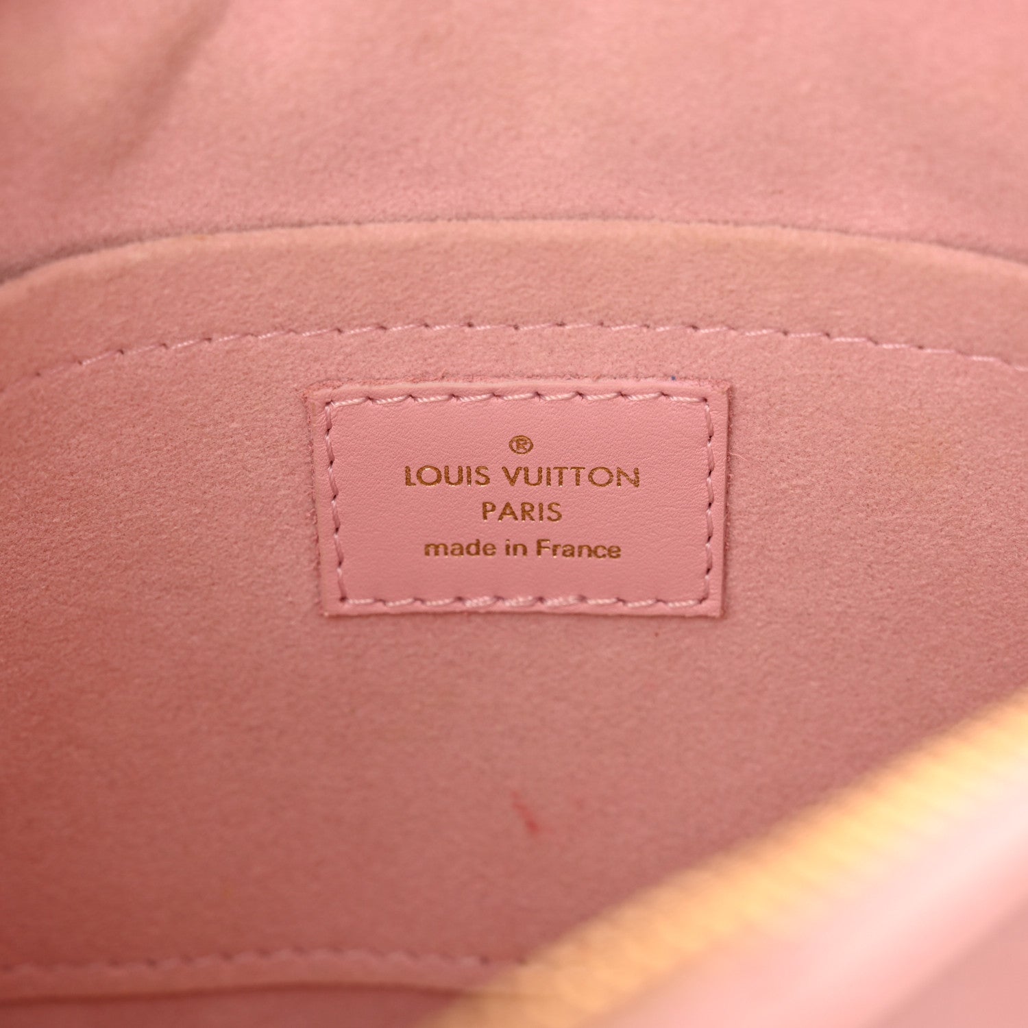 Louis Vuitton Calfskin New Wave Camera Bag Smoothie Pink 5 of 10