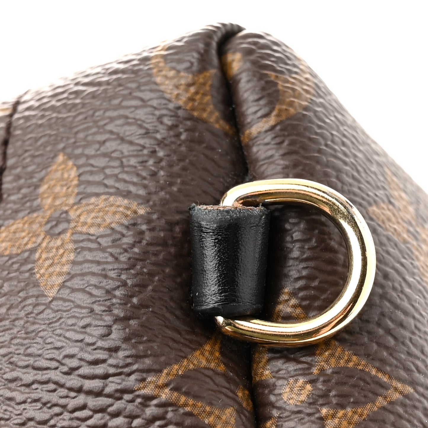 Monogram Palm Springs Backpack Mini