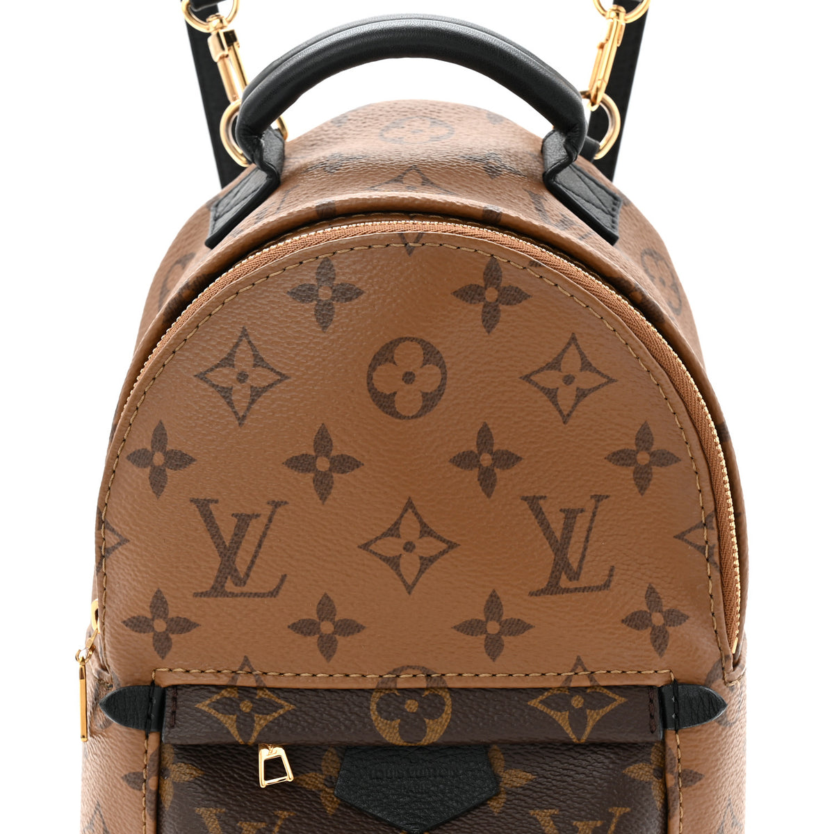 Louis Vuitton Reverse Monogram Palm Springs Backpack Mini  display picture 1