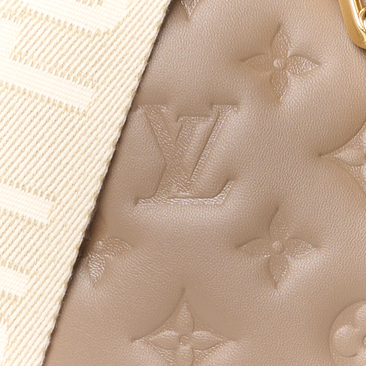 Louis Vuitton Lambskin Embossed Monogram Coussin PM Taupe 9 of 11