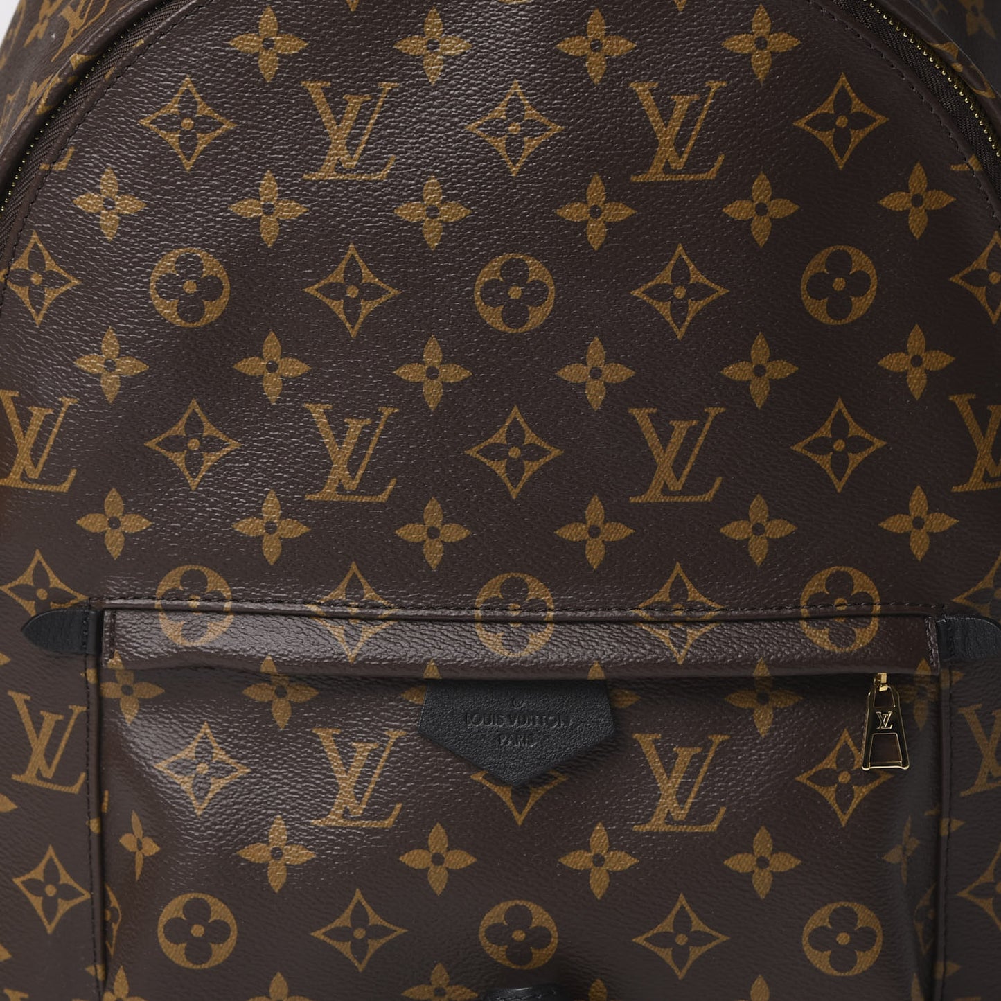 Monogram Palm Springs Backpack MM
