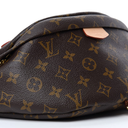 Louis Vuitton Monogram Bumbag 6 of 10