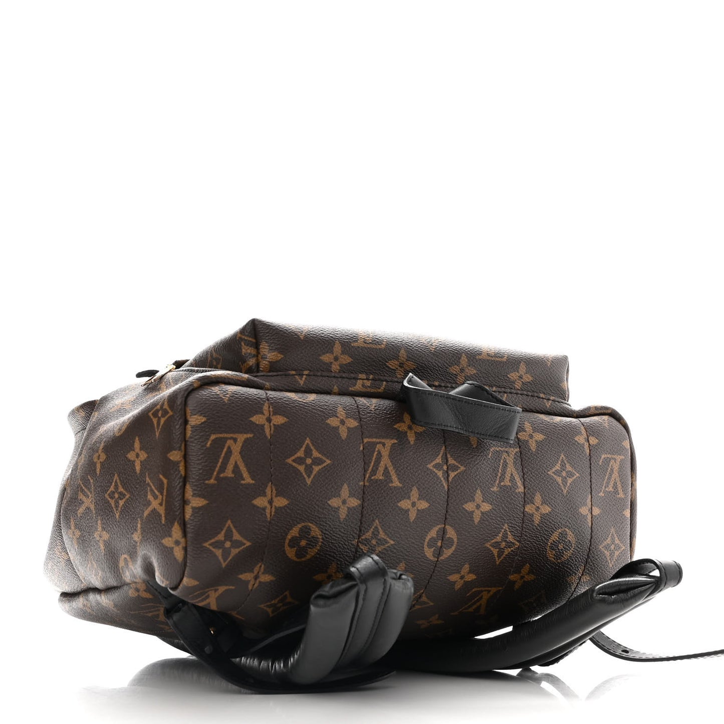 Monogram Palm Springs Backpack MM