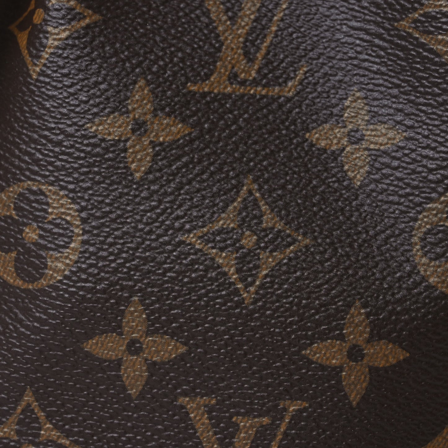 Monogram Nano Noe