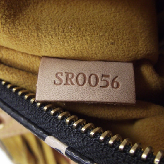 Monogram Multicolor Fringe Speedy 25 Black