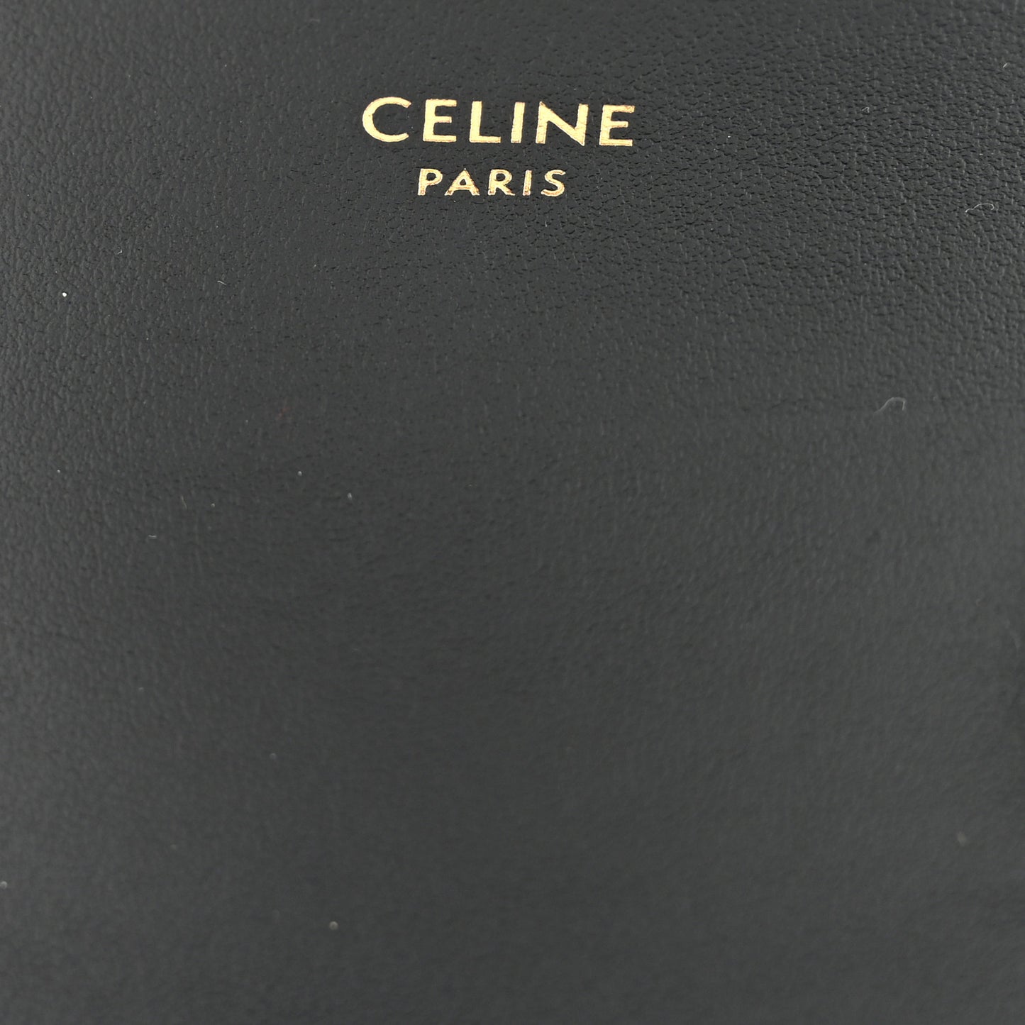 Shiny Calfskin Mini Triomphe Black