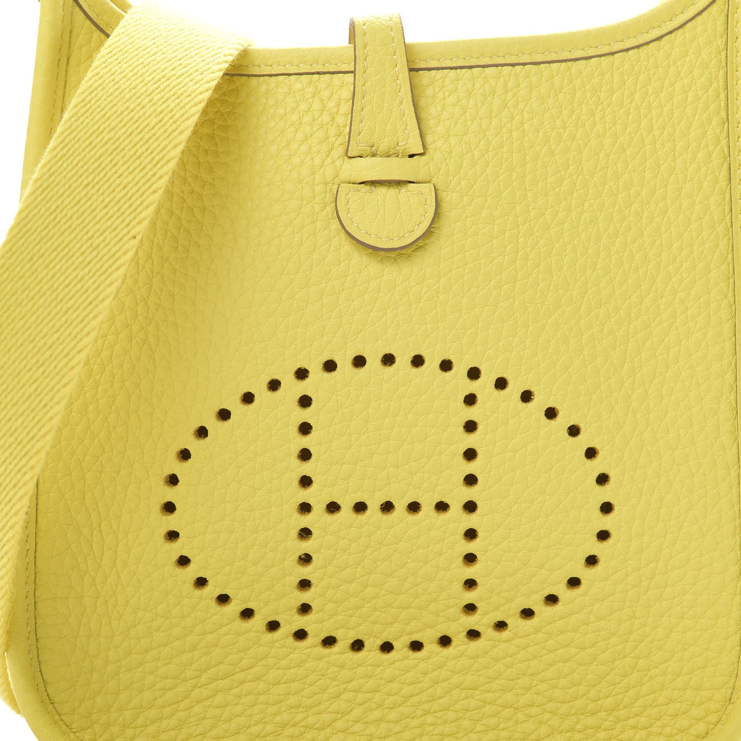 Taurillon Clemence Evelyne TPM Lime
