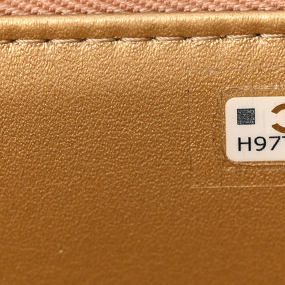 Chanel Lambskin Quilted Pearl Crush Small Vanity Case With Chain Dark Beige 7 of 11