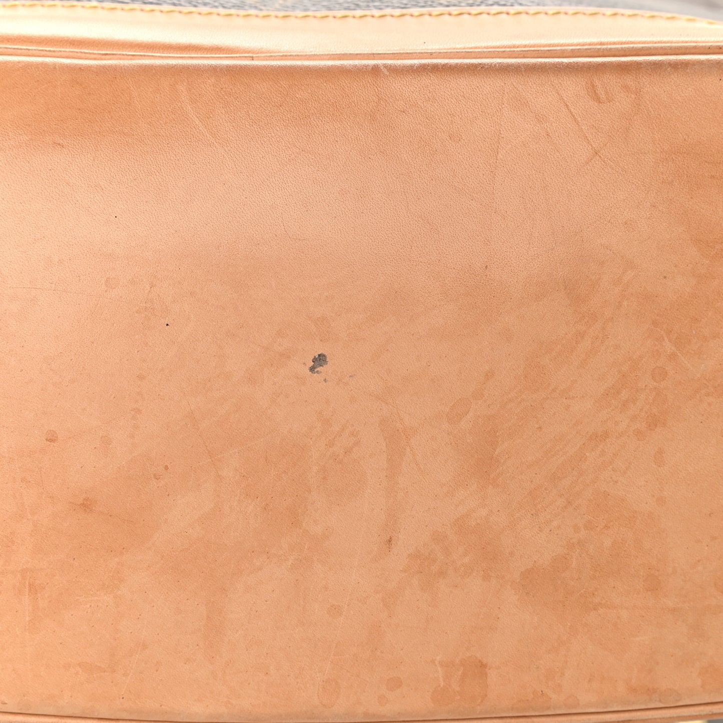 Monogram Montsouris GM Backpack