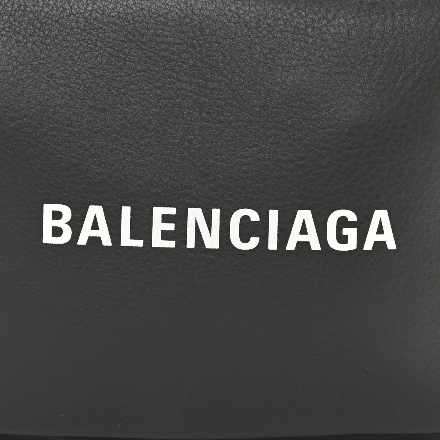 Smooth Calfskin Logo S Everyday Camera Bag Gris Fossile White