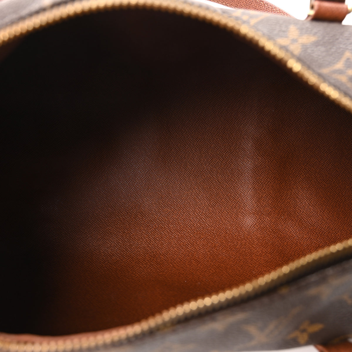 Monogram Papillon 30 with Companion