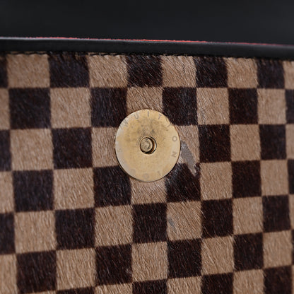 Louis Vuitton Damier Calf Hair Sauvage Lionne 11 of 18