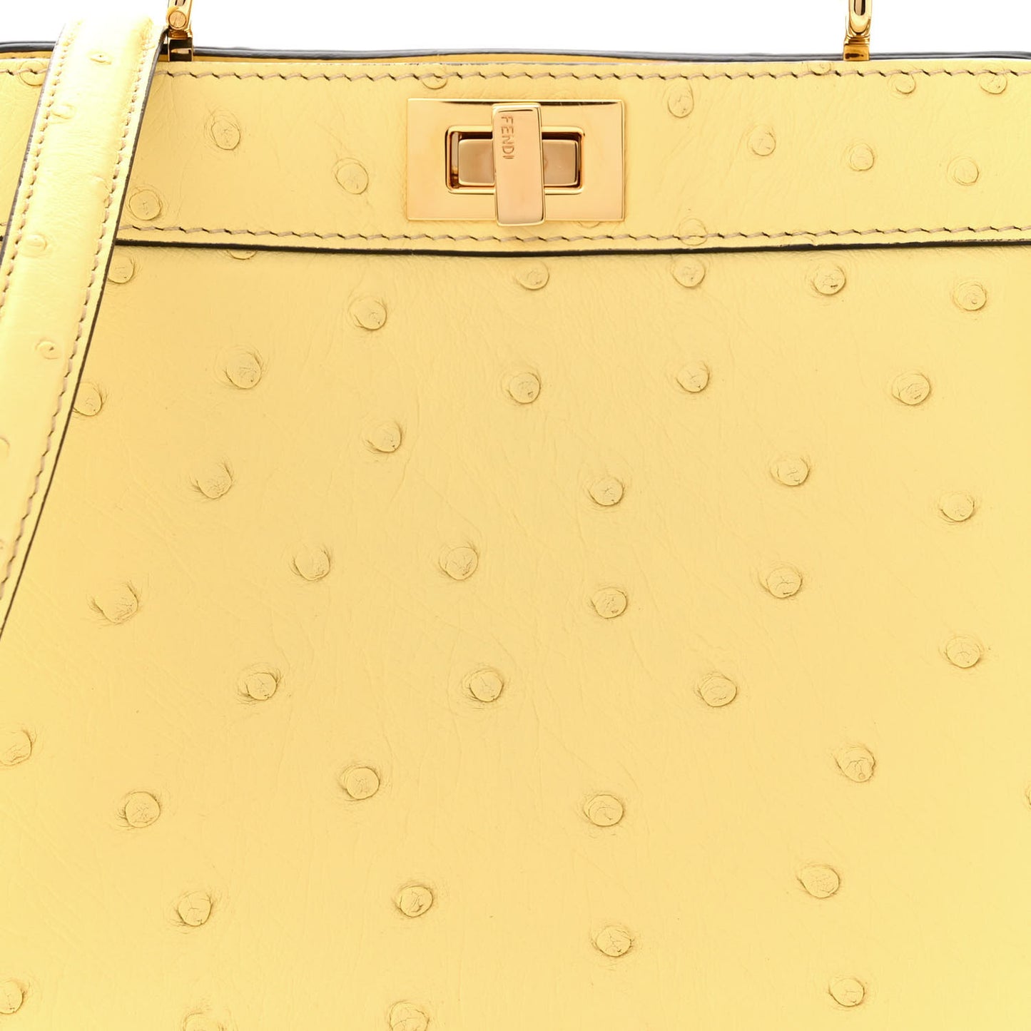 Ostrich Shiny Nappa Petite Peekaboo I SEE U Satchel Grano