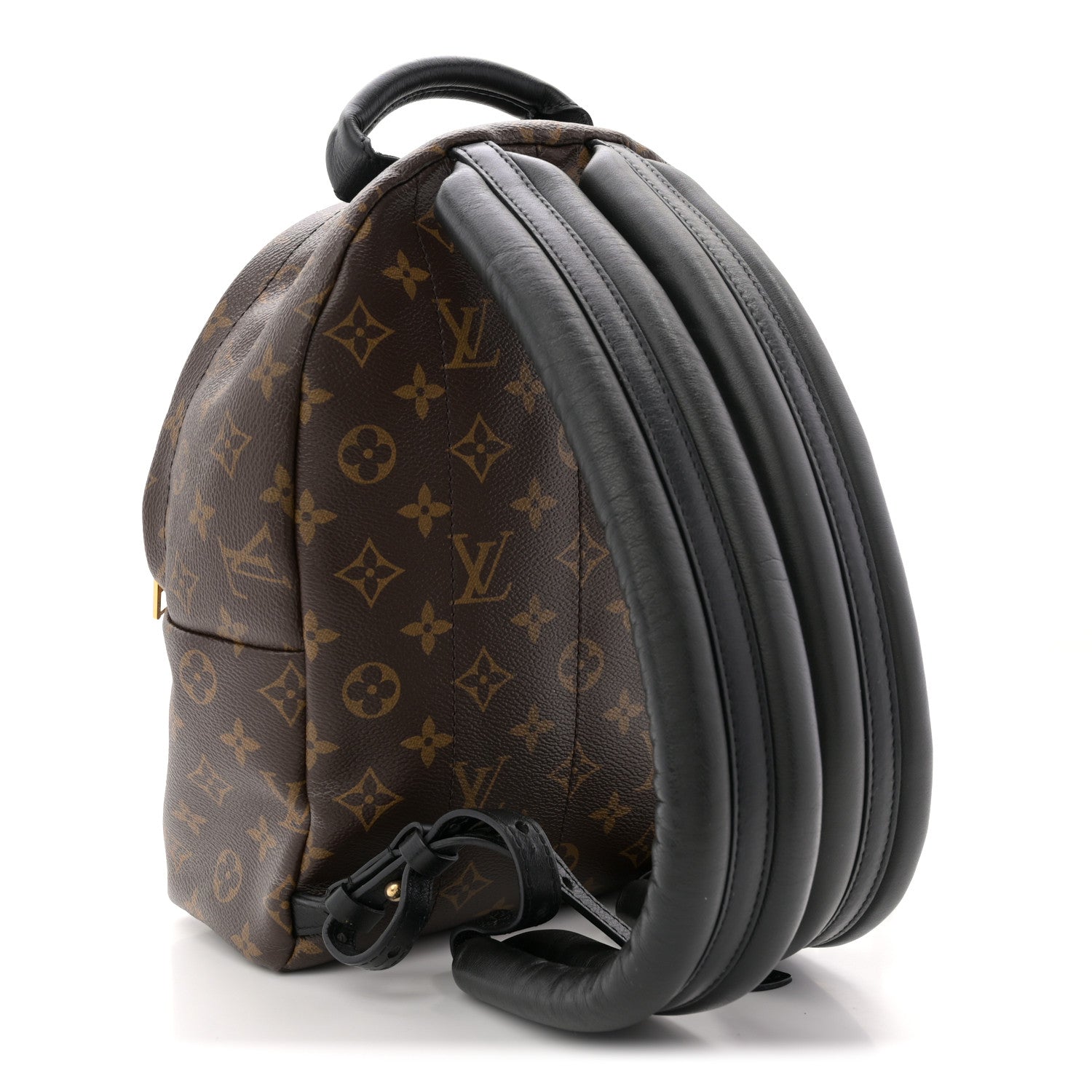 Louis Vuitton Monogram Palm Springs Backpack PM 3 of 12