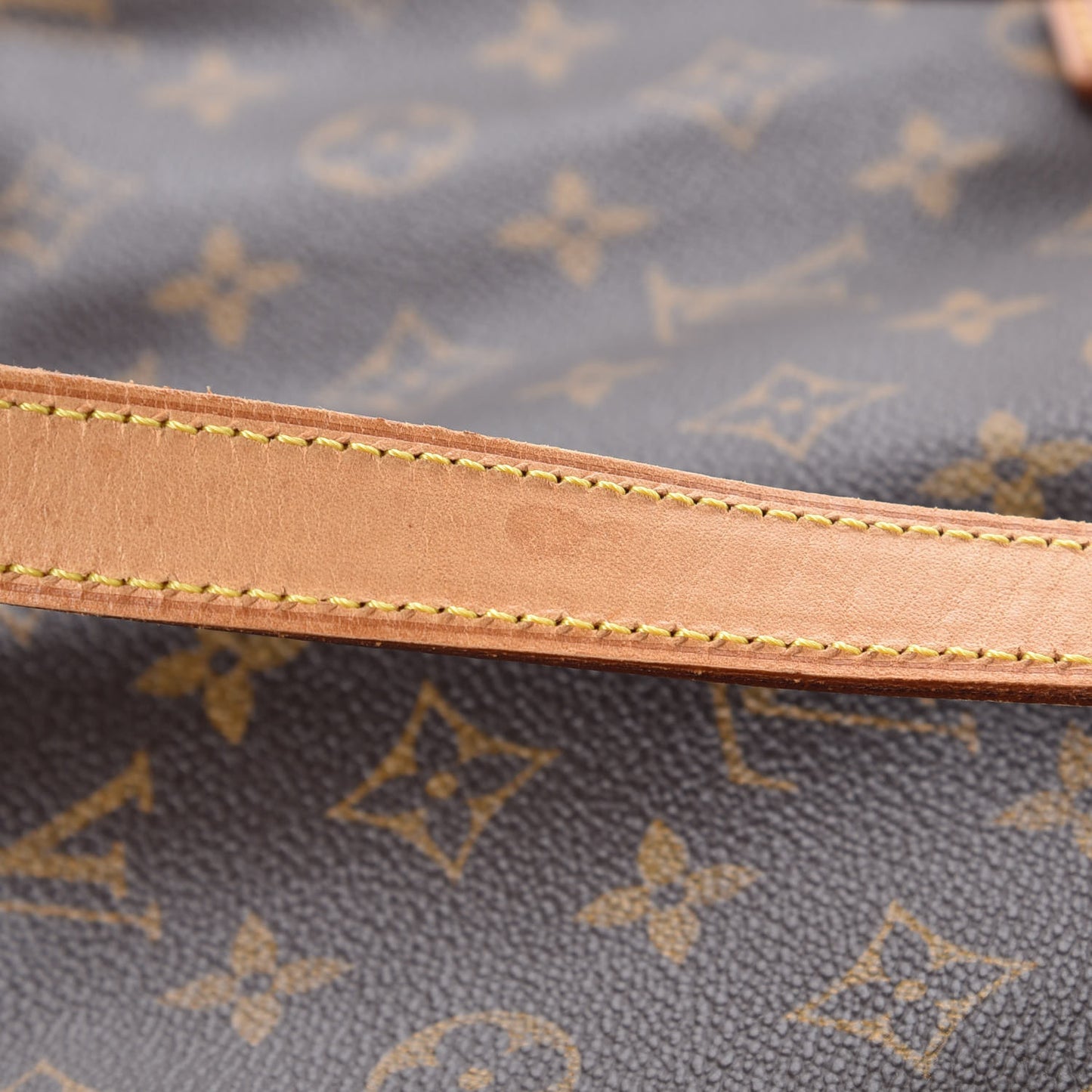 Monogram Cabas Mezzo