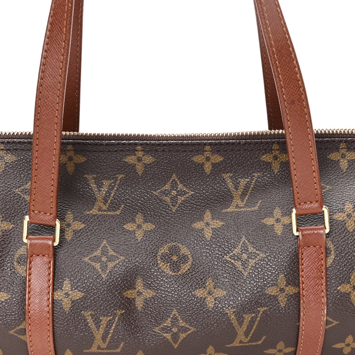 Monogram Papillon 30 with Companion